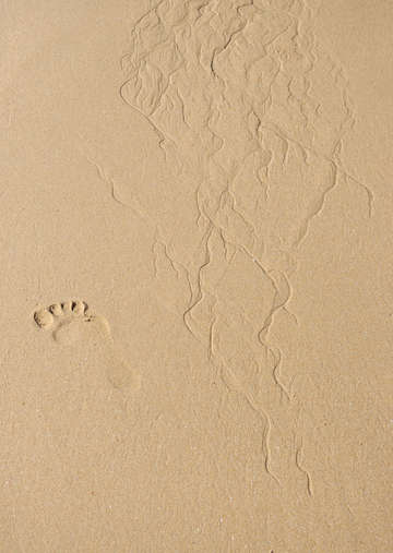 Footprint in the sand