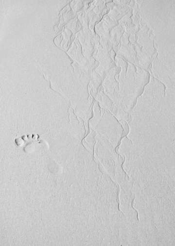 Silver footprint in the sand