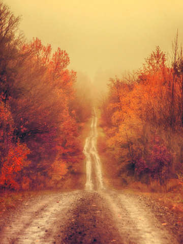 Autumn traveler