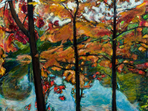 Forest of Fire II