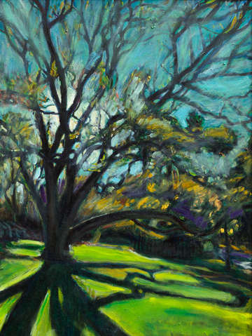 Japanese Pagoda Tree II