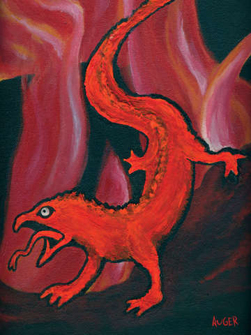 Fire Salamander