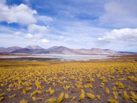 Salar de aguas calientes 3