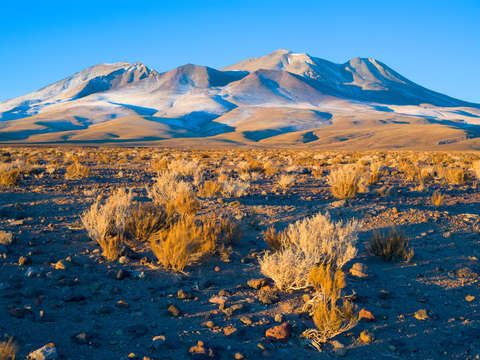 Hills in the altiplano