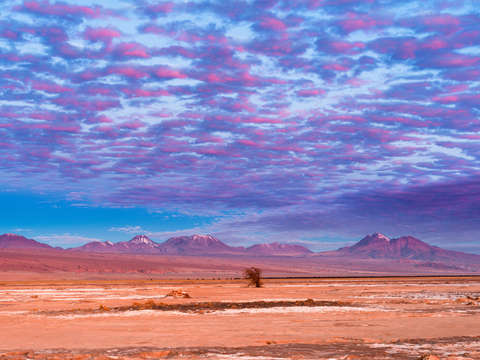 Atacama desert