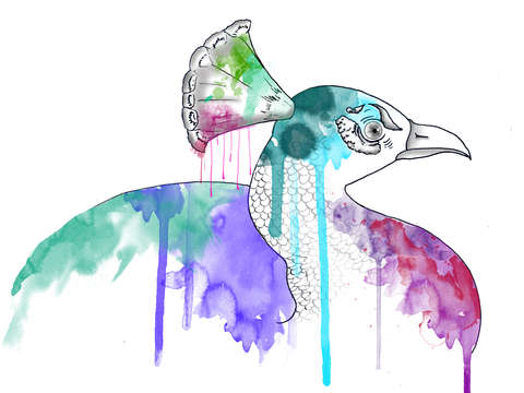 "Running Feathers"