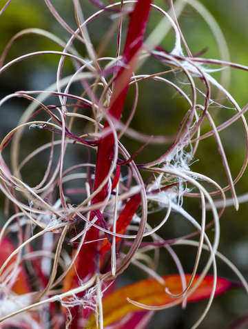 Autumn colors 6