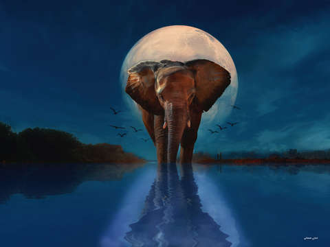 ELEPHANT WALK