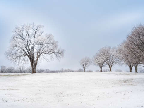 Magical Winter Landscape