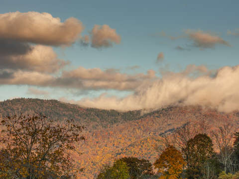 Natures splendor