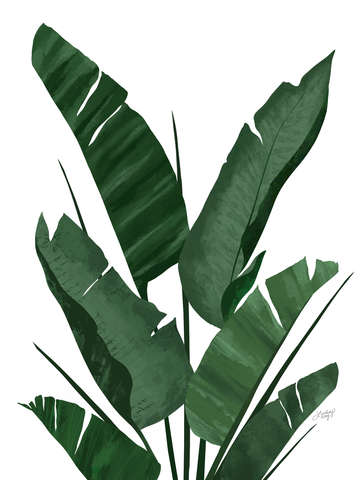 Banana Leaf Plant Illustration