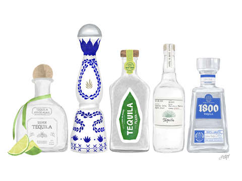Tequila Bottles Illustration