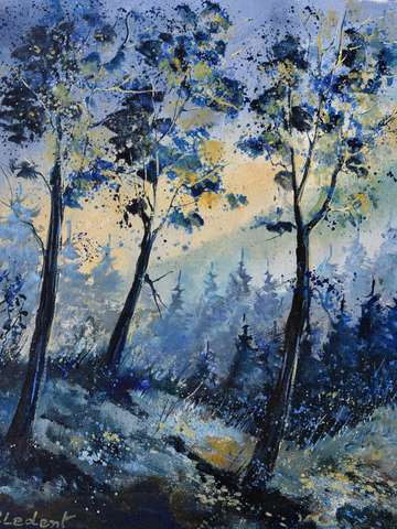 Winter light in the wood
