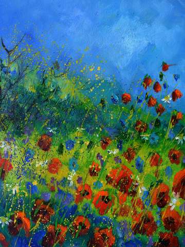 Red poppies 5