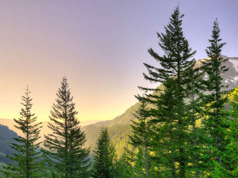 Mount Rainier National Park