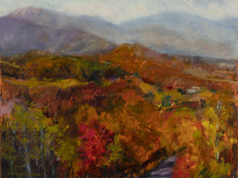 Ivy Valley
