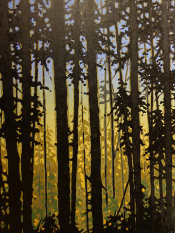 Forest sunset