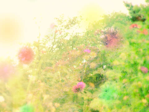 Summers end