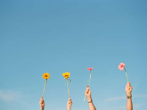 Free Love