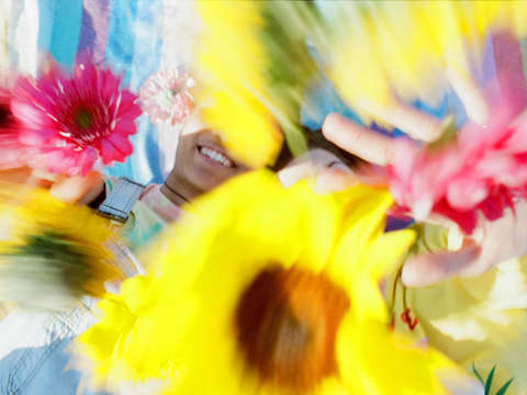 Everythings coming up daisies