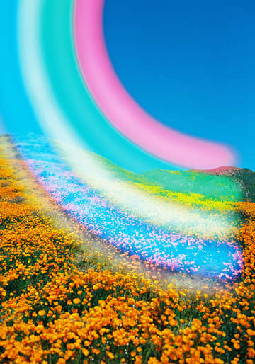 Rainbows and Poppies