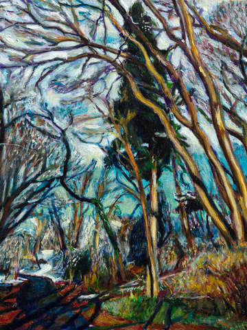 Prospect park path ii