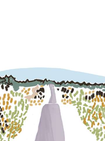 Country Road