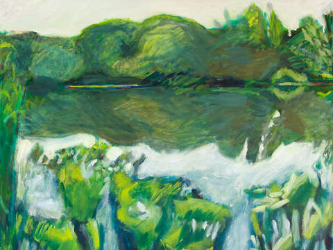 Yellow water lilies on the lulwater ii