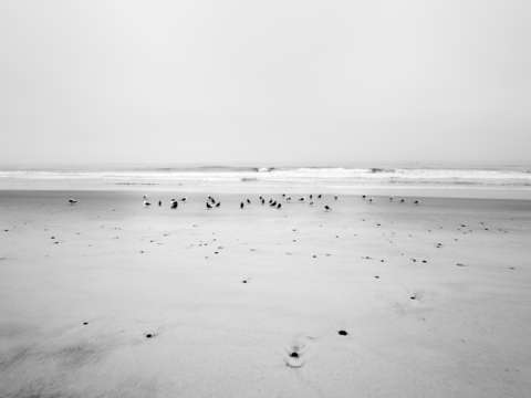 Watching the sea ponto