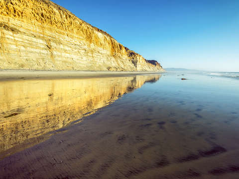 Long Reflection