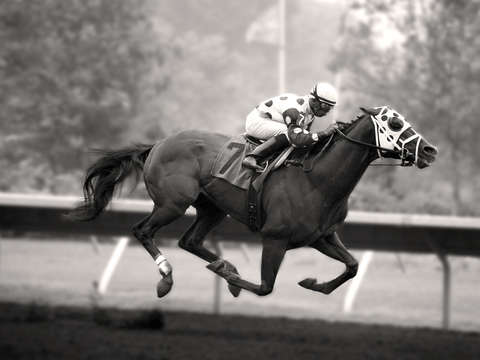Number 7 flying