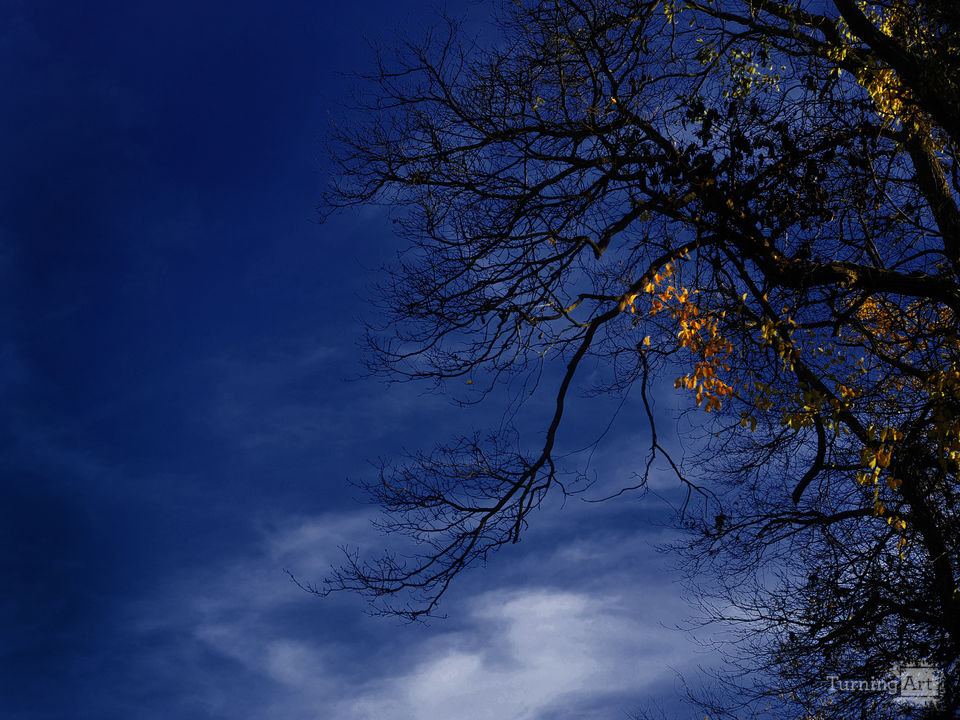 Autumn light