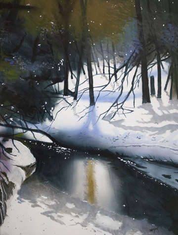 Winter Beauty