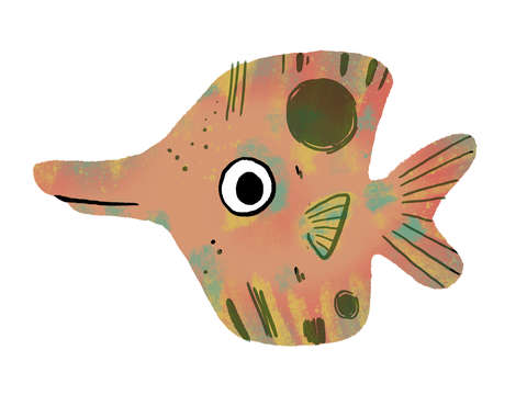 Scribbly Fish