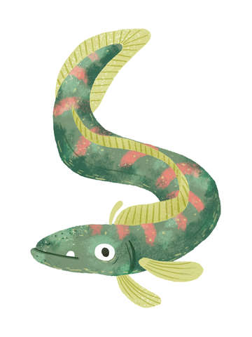 Wiggly Fish
