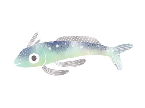 Ghostly Fish
