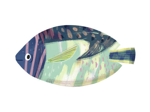 Patchwork Dory Fish