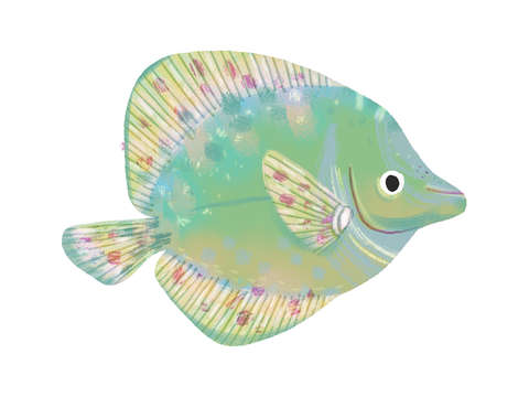 Cucumber Fish