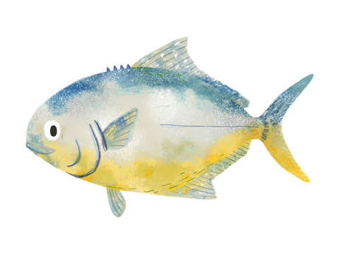 Pompano fish