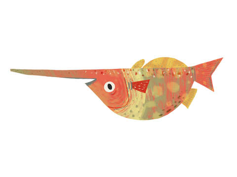 Nosey fish