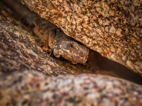 Between a rock and a hard place