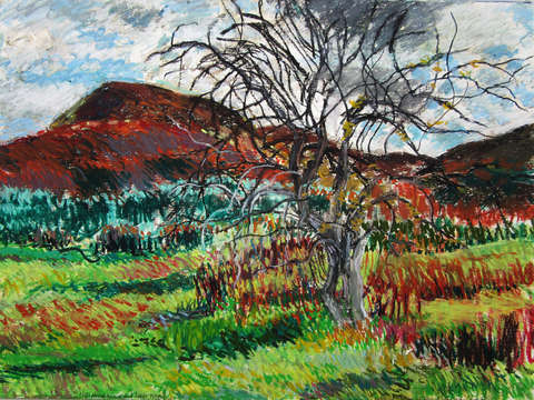 Mt norwottuck and apple trees holyoke mountain 10