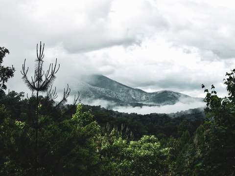 Smoky mountains