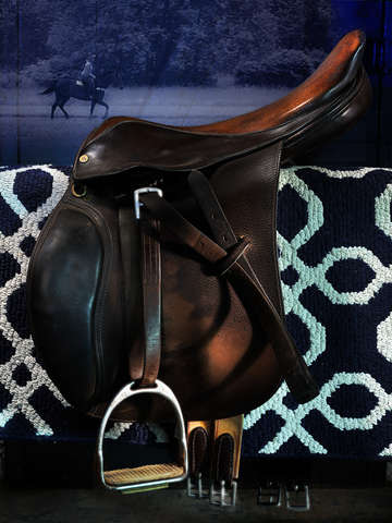 Early Morning English Saddle