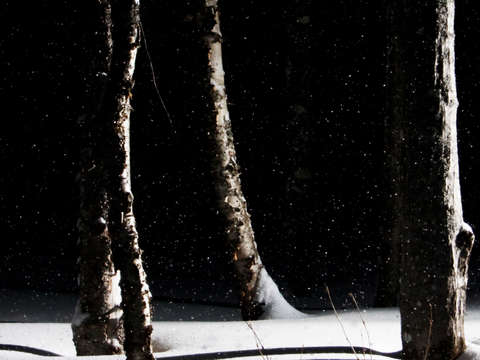 Rangely winter 1