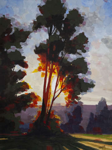 Mission sunset