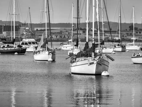 San Diego's Fleet