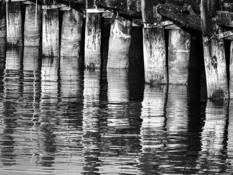 A Pile Of Pilings