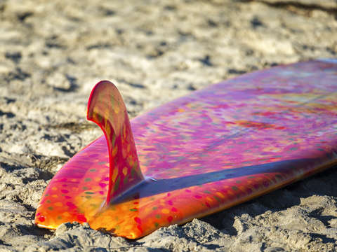 Single fin la jolla