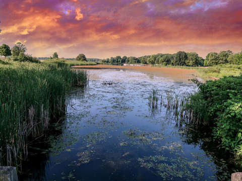 Stoney Creek Wetlands IMG_0421
